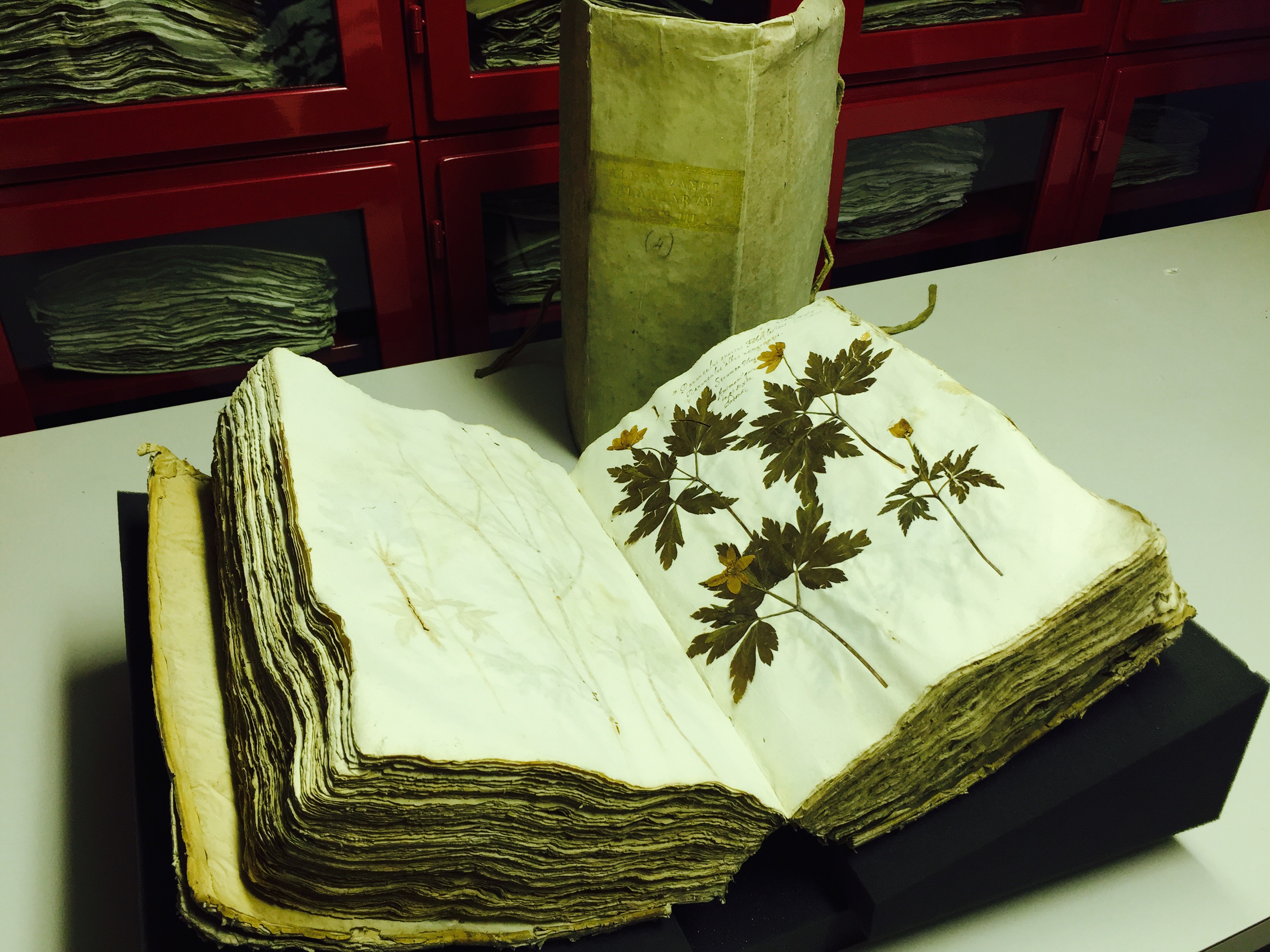 GEP 2024 Tesori Nascosti